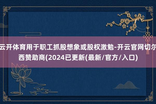 云开体育用于职工抓股想象或股权激勉-开云官网切尔西赞助商(2024已更新(最新/官方/入口)