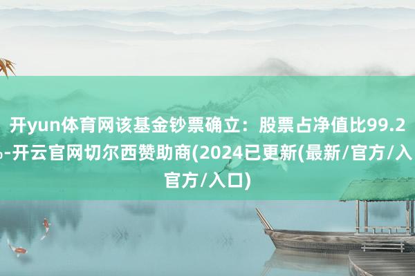 开yun体育网该基金钞票确立：股票占净值比99.27%-开云官网切尔西赞助商(2024已更新(最新/官方/入口)